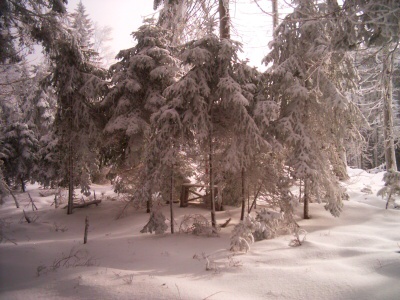 28. 12. 2008