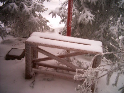 28. 12. 2008
