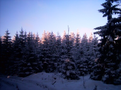 28. 12. 2008