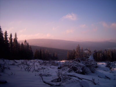 28. 12. 2008