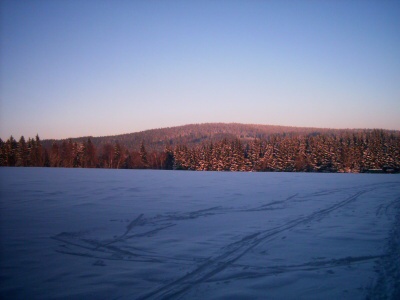 29. 12. 2008