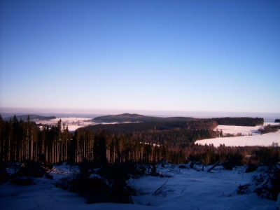 31. 12. 2008
