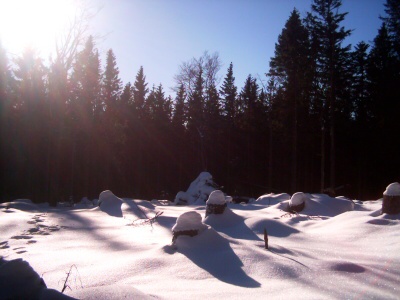 31. 12. 2008