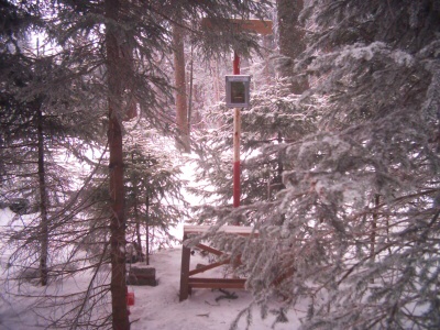 2. 1. 2009