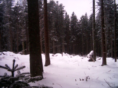 2. 1. 2009