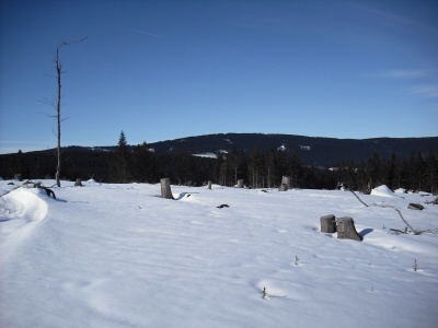 1. 3. 2009