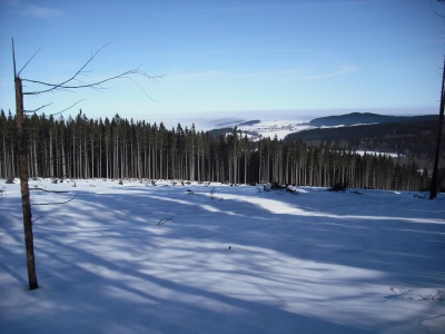 1. 3. 2009